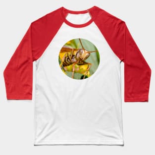 Paper Wasp Macro Photograph Baseball T-Shirt